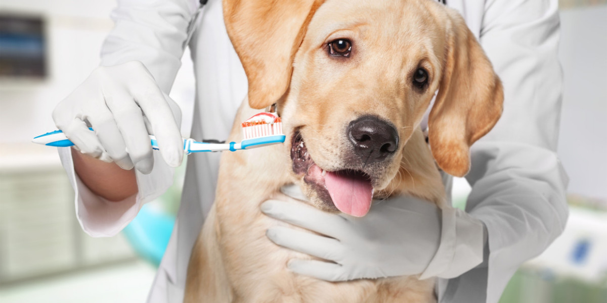 Pet Oral Care Market  Analysis by Trends, Size, Share, Company Overview, Growth and Forecast by 2032
