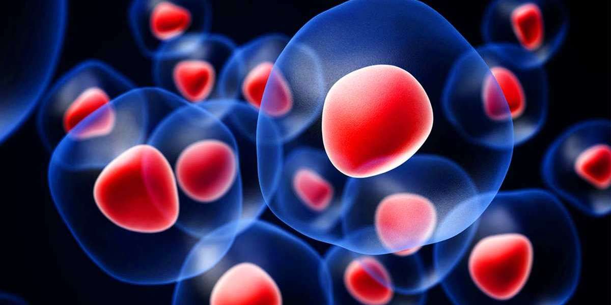 Advancements in Cell Expansion: From Bench to Bedside