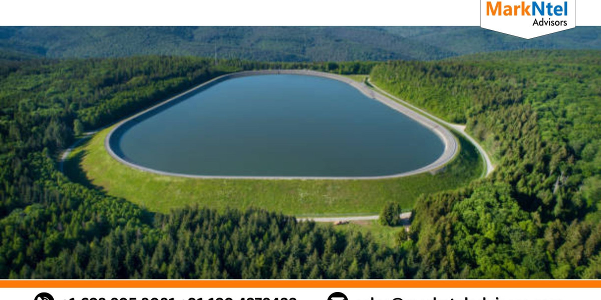 A Look Into the Future of the Global Pumped Hydro Storage Market