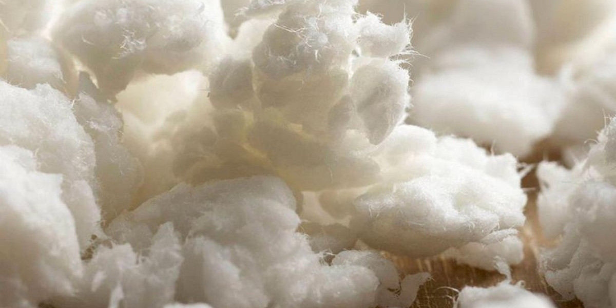 From Trees To Fibers: Exploring The Journey Of Dissolving Pulp