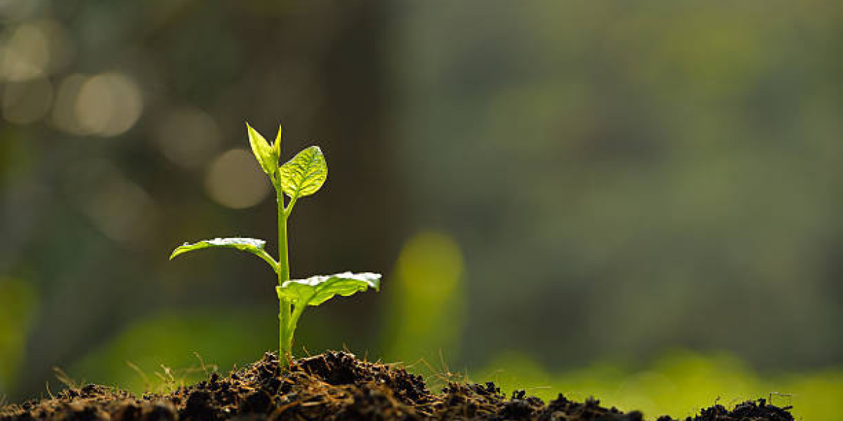 Soil Conditioners Market Share Future Estimations and Key Industry Segments Poised for Strong Growth in Future 2030 by M