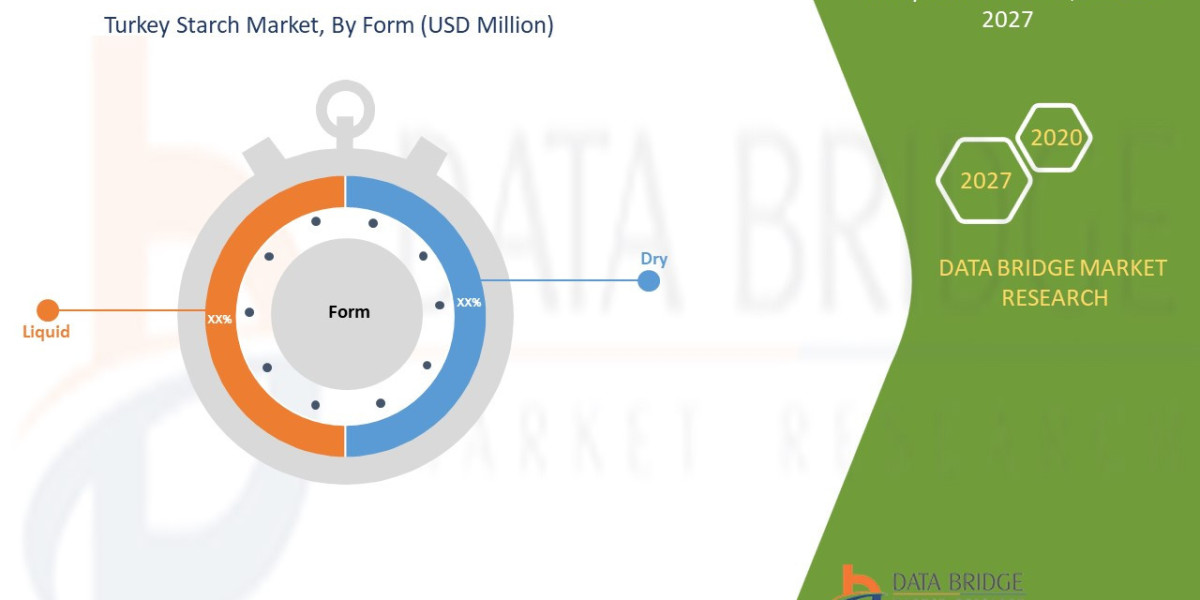 Turkey Starch Market To Perceive Highest Growth of Billion by Size, Share, Trends, Key Growth Drivers and Opportunity An