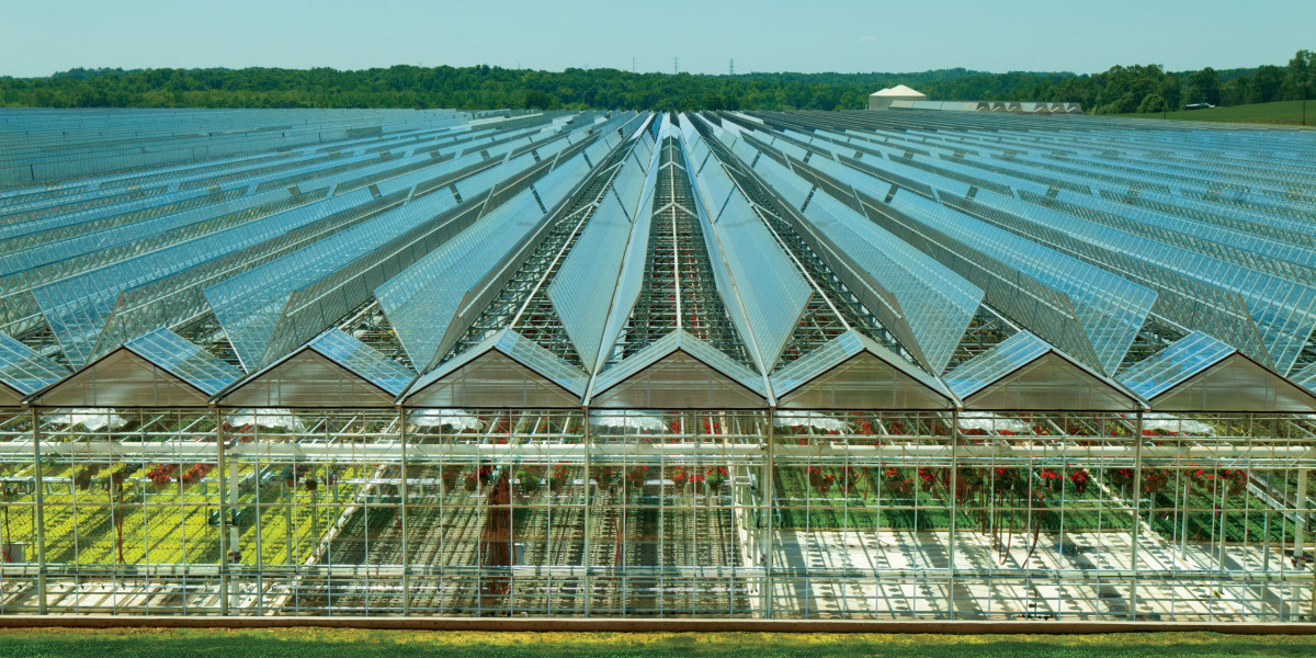 The Role Of High End Greenhouses In Shaping The Future Of Sustainable Agriculture