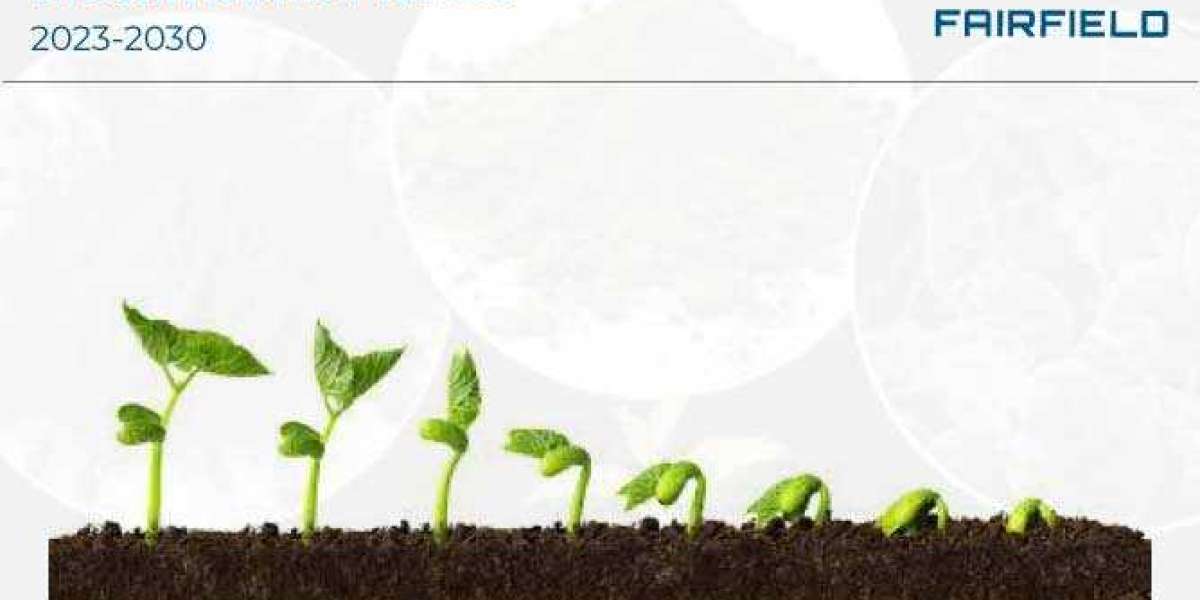 Biostimulant Market Study, New Project Investment and Forecast till 2029