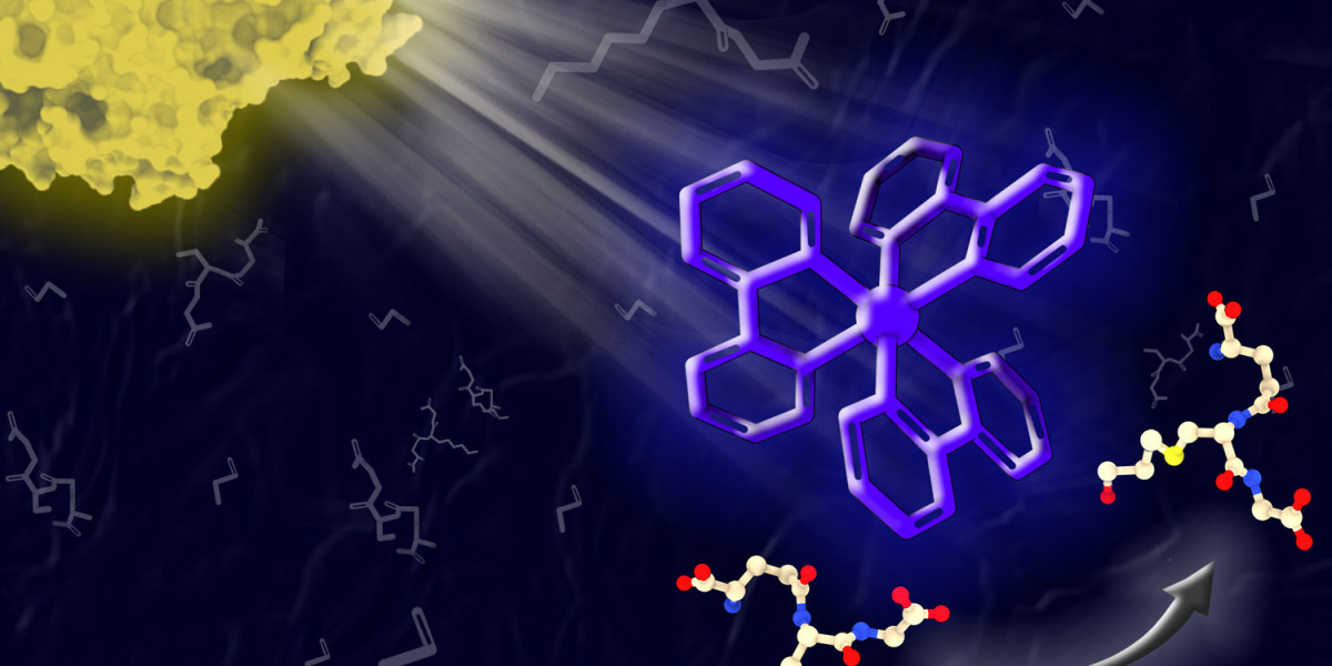 Global Photocatalyst Market Size, Share | Growth Analysis 2028