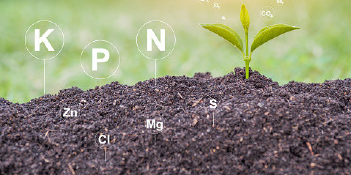 Secondary Macronutrients Market Industry Overview’s Global by Report Forecast 2020-2030