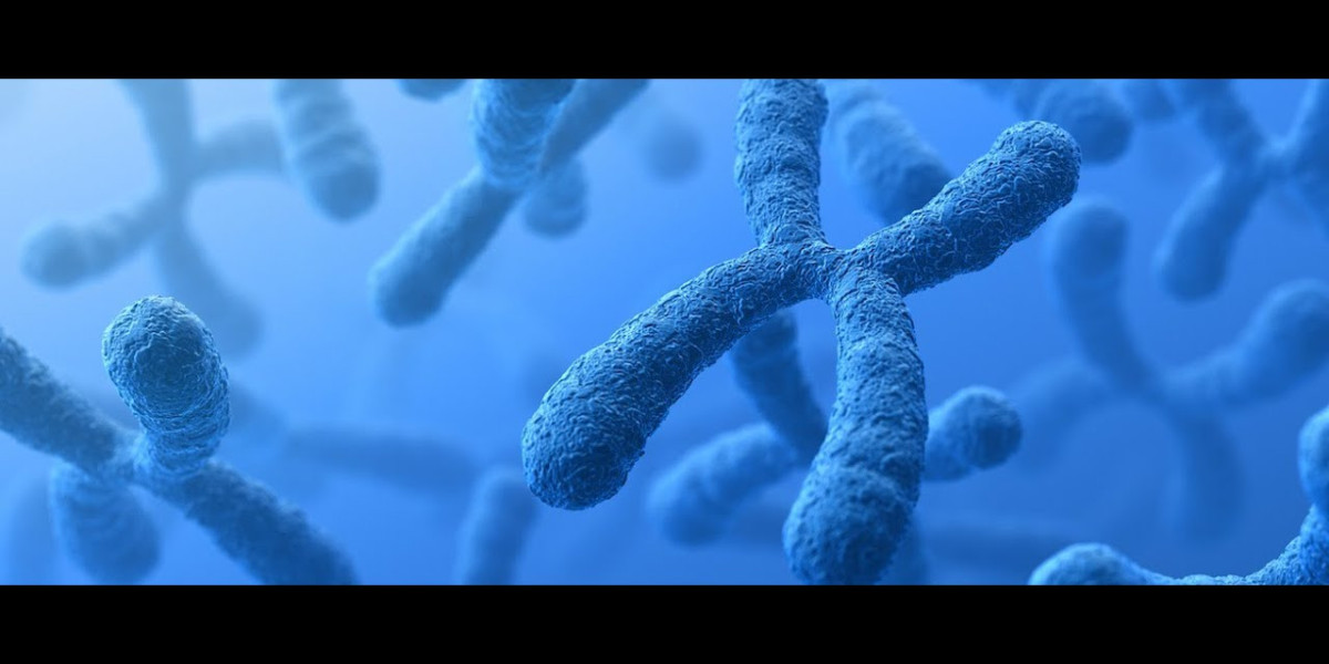 Molecular Cytogenetics Encompasses All Facets Of Diverse Chromosome Biology