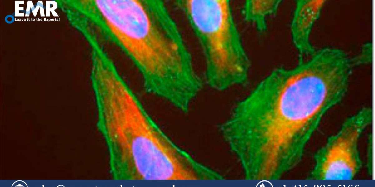 Immunofluorescence Assay Market Share, Price, Trends, Growth, Analysis Report and Forecast 2023-2028