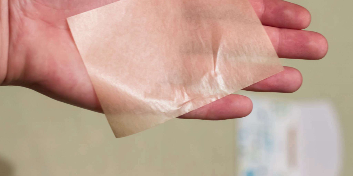 Southern Blotting Market Future Trends and Opportunities, Past, Present Data, and Deep Analysis