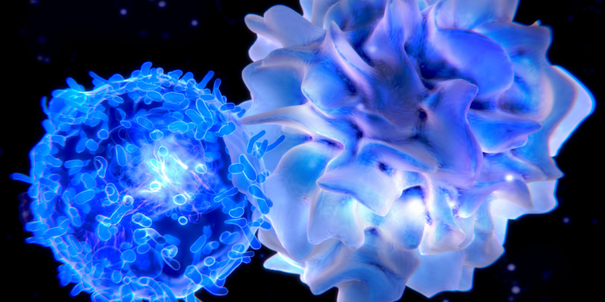 Targeting Immune Dysregulation with Immunomodulators: Implications for Precision Medicine