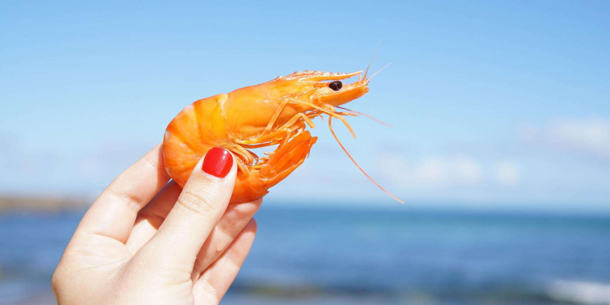 The Shrimp Trade: Economics, Challenges, and Opportunities