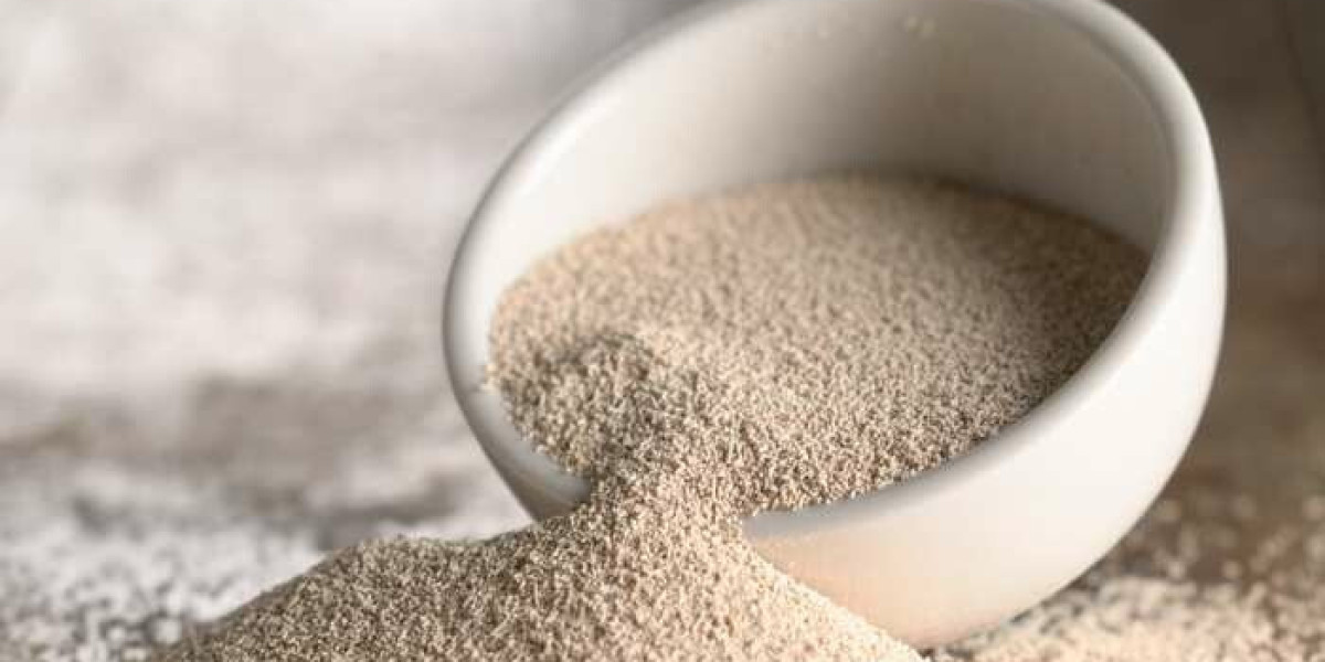 An In-Depth Analysis Of All Elements Of Instant Dry Yeast