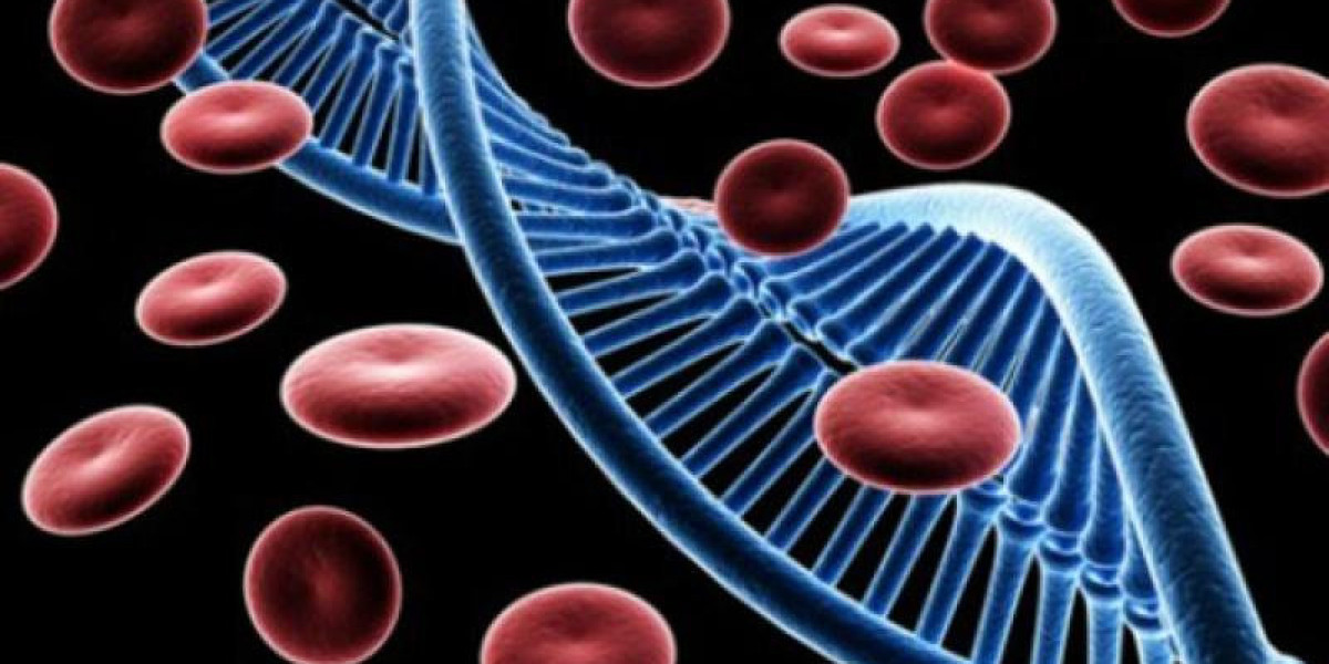 Immune Repertoire Sequencing: Illuminating the Diversity of the Immune System