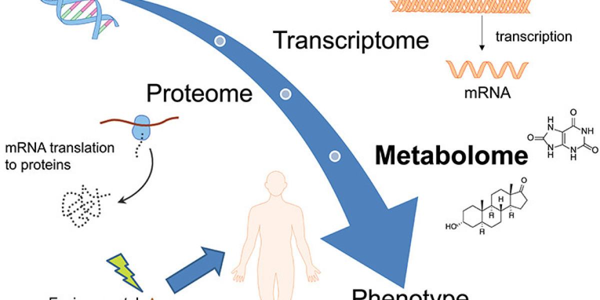 Metaboomics Services Analyze The Metabolome With A Variety Of Advanced Techniques