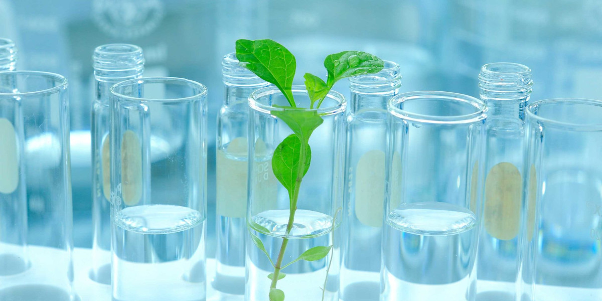 Plant Extracts Used In Aromatic Therapies