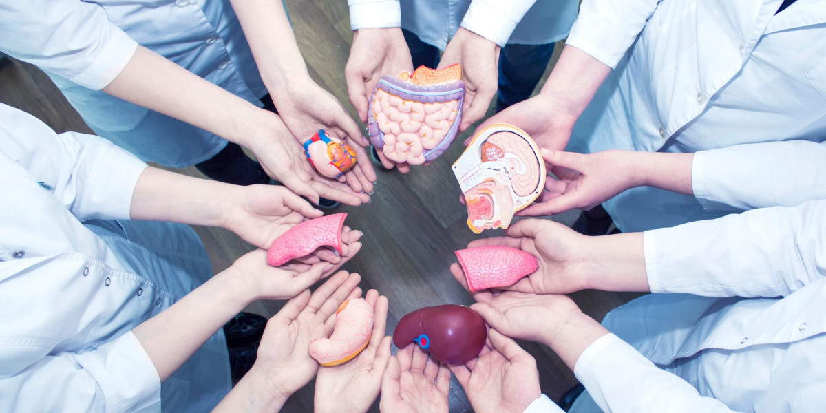 Balancing Benefits and Risks: Exploring Organ Transplant Immunosuppressant Drugs: