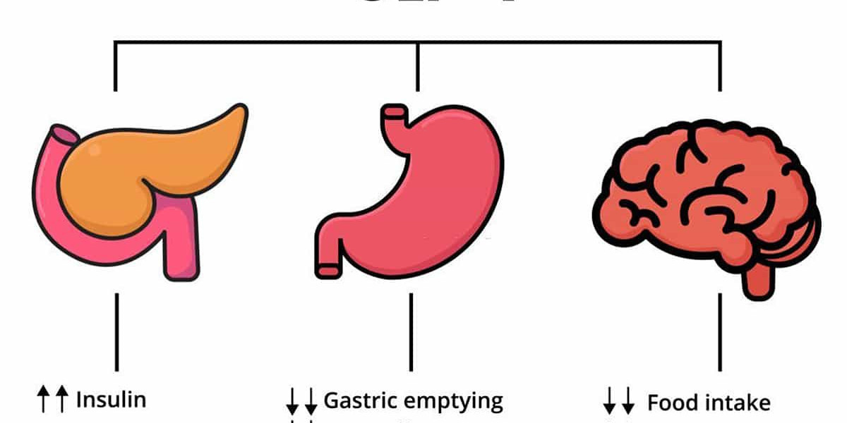 Understanding Glucagon-Like Peptide-1 (GLP-1) Analogs: Mechanisms and Applications
