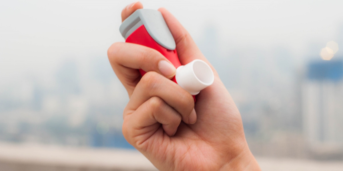 Ciclesonide Market Dynamics: Key Factors Driving Market Expansion