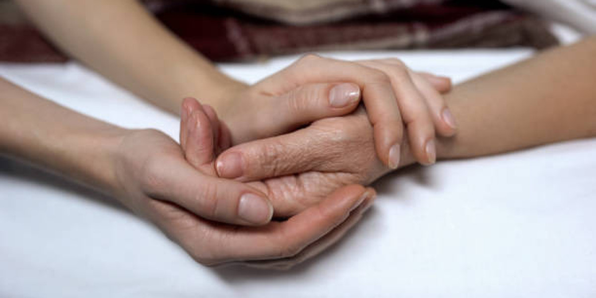  Understanding Pet Cremation: The Process and Options