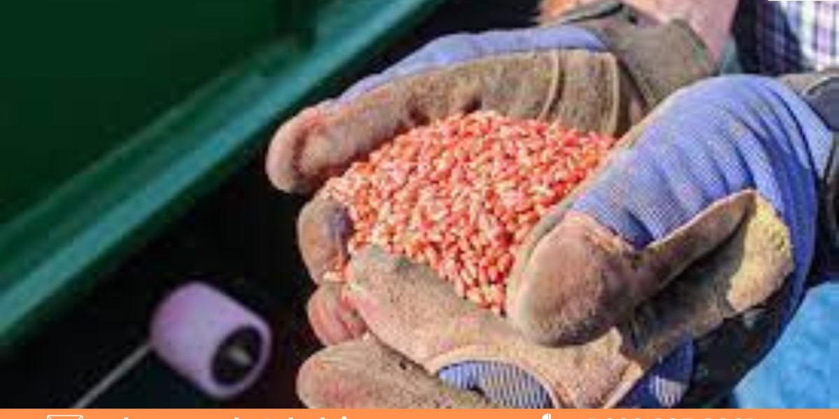 Key Trends and Challenges in the Latin America Seed Treatment Market 2022-2027