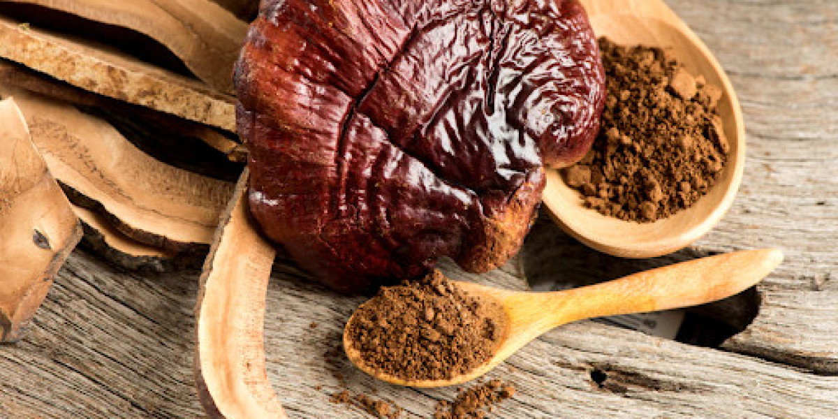 The Miraculous Reishi Mushroom: A Guide to its Medicinal Properties