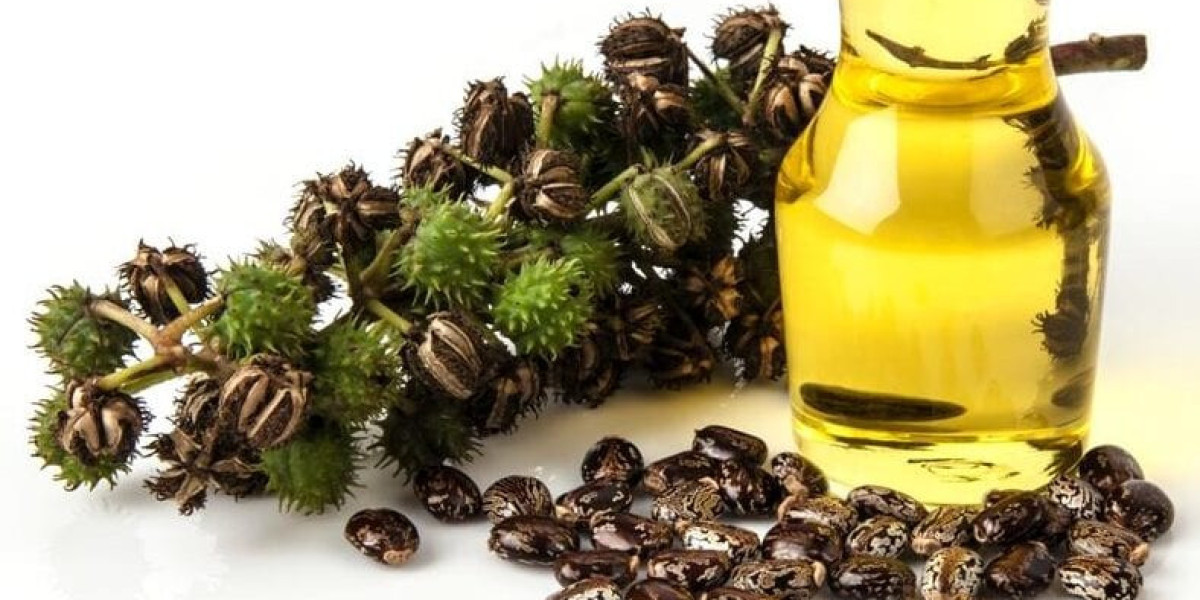 Navigating Digestive Discomfort: Laxatives As Allies