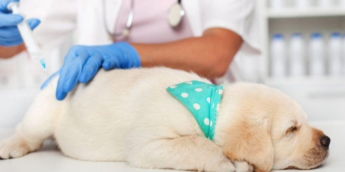 Trends and Growth Factors in Veterinary Vaccines Market: Focus on Inactivated, Live Attenuated, and Recombinant Vaccines