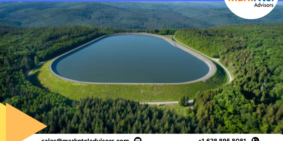 Pumped Hydro Storage Market Insights: Top Companies, Regional Analysis, and Growth Opportunities