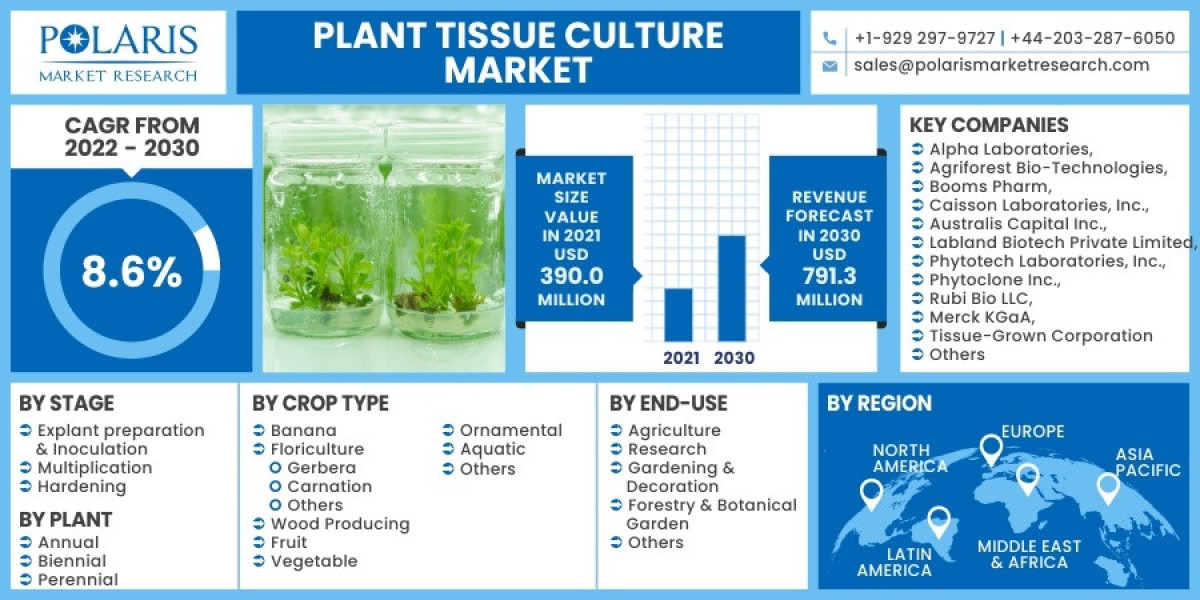 Plant Tissue Culture Market Report Explored in Latest Research