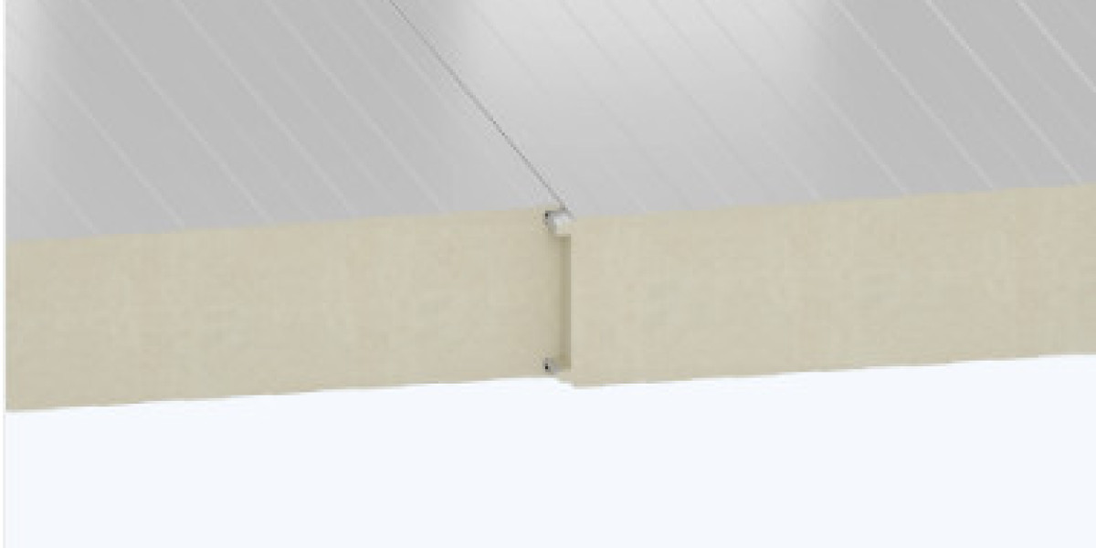 PUR cold storage sandwich panel