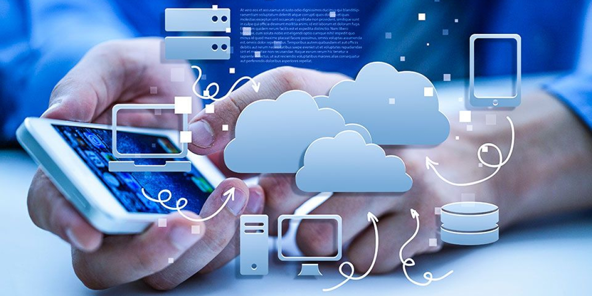 Cloud ManagemInsights,Profile, Outlook and Segmentation Till 2030