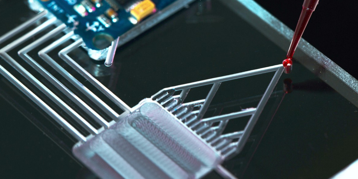 Lab-On-A-Chip: Accelerating Research and Development in Biotechnology