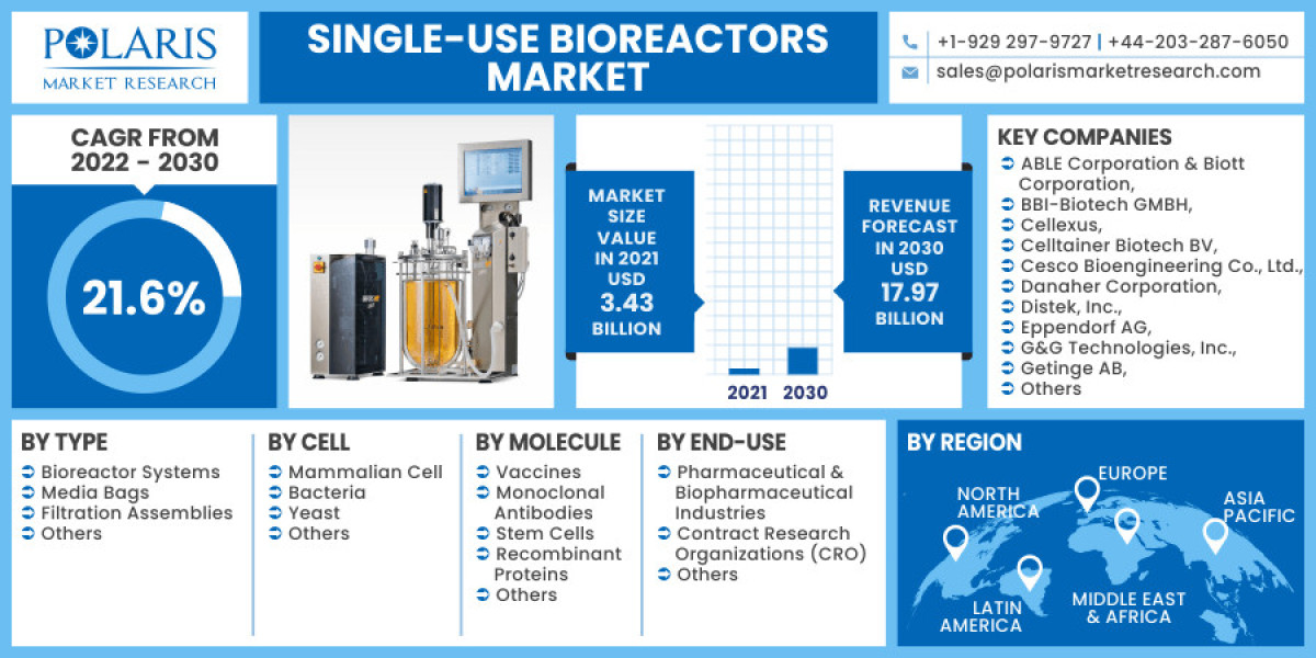 Single-Use Bioreactors Market Scope, Regional And Competitive Analysis By 2032