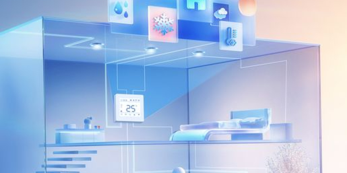 Home Sweet Home for Kittens: Keys to a Healthy and Happy Life