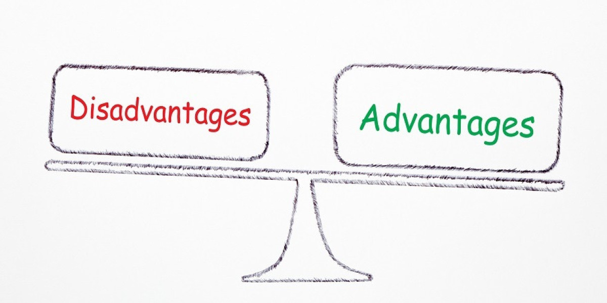Advantages and Disadvantages of Assignment Services in Australia