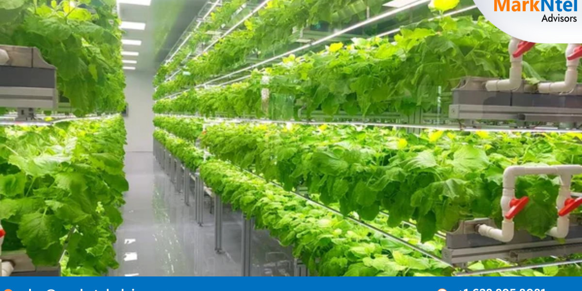 MIDDLE EAST VERTICAL FARMING Market Insights: Top Companies, Regional Analysis, and Growth Opportunities