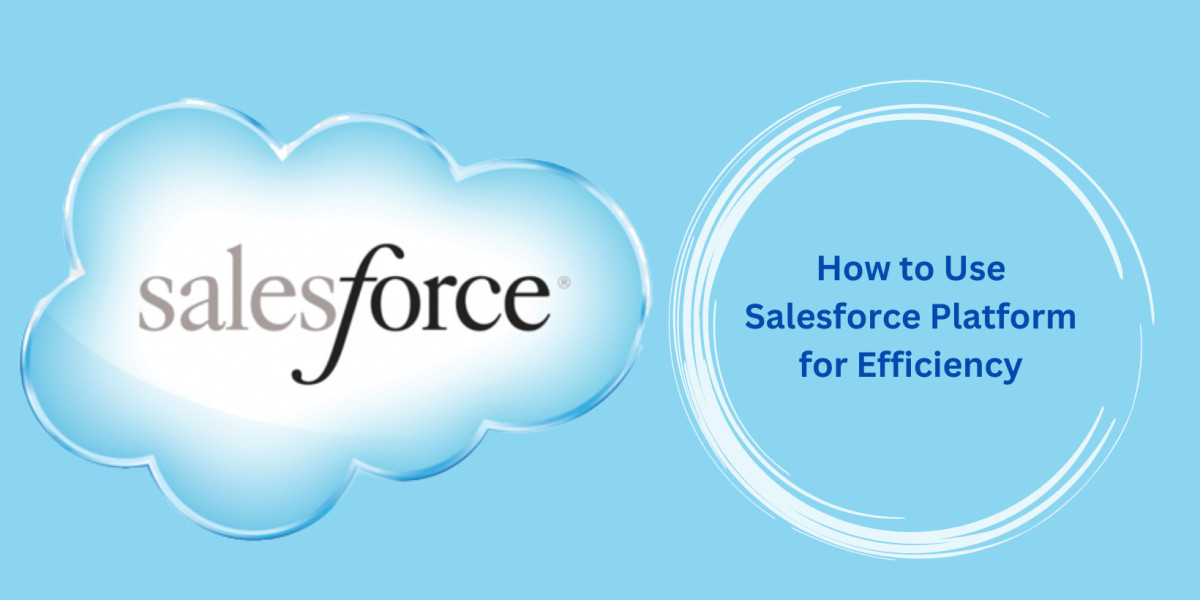 How to Use Salesforce Platform for Efficiency