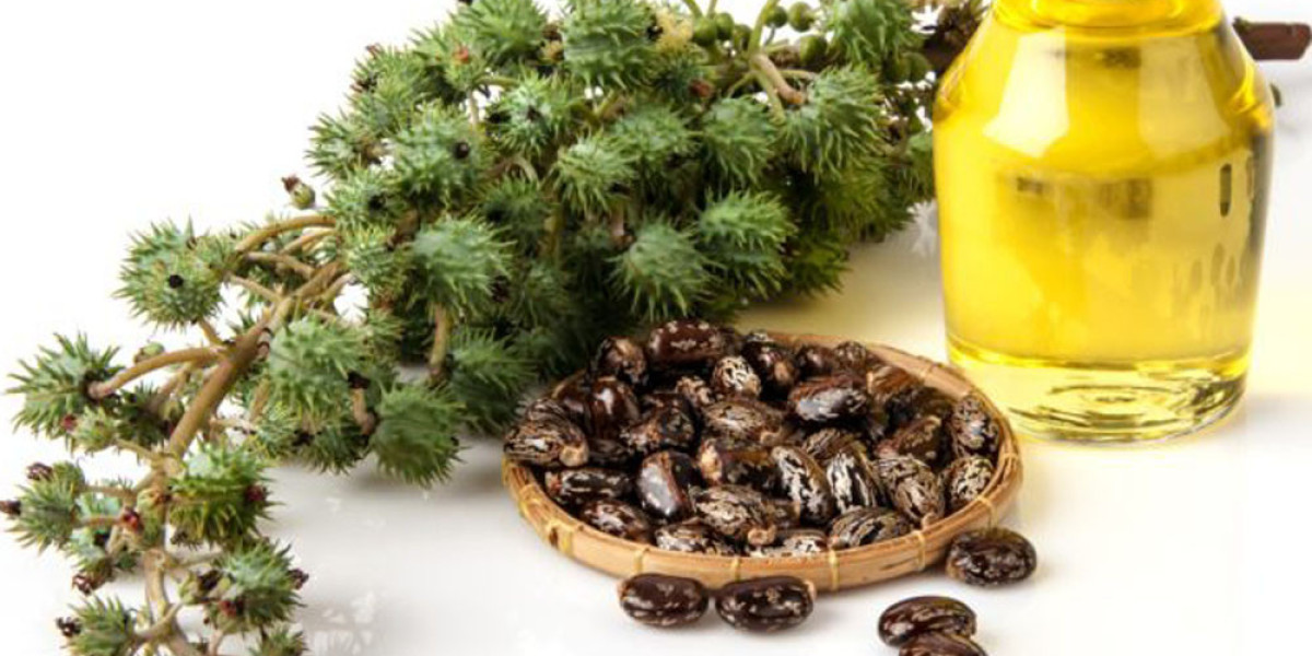 Gentle Solutions: Laxatives For Gentle And Effective Relief