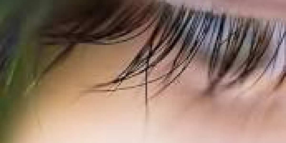 The Ethical Implications of Mink Eyelashes