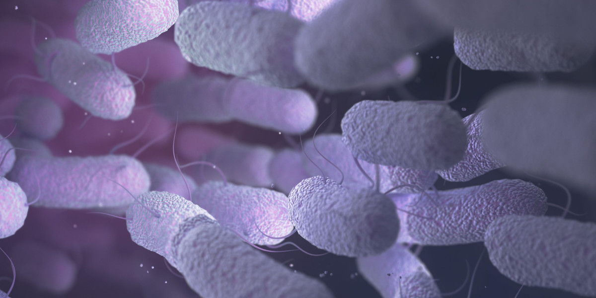 Bacillus Subtilis as a Bioremediation Agent: Cleaning up Environmental Contaminants