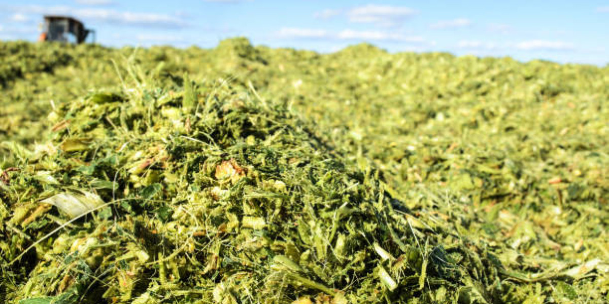 Silage Additives Market Key Driven, Future Report Growth By Forecast 2030