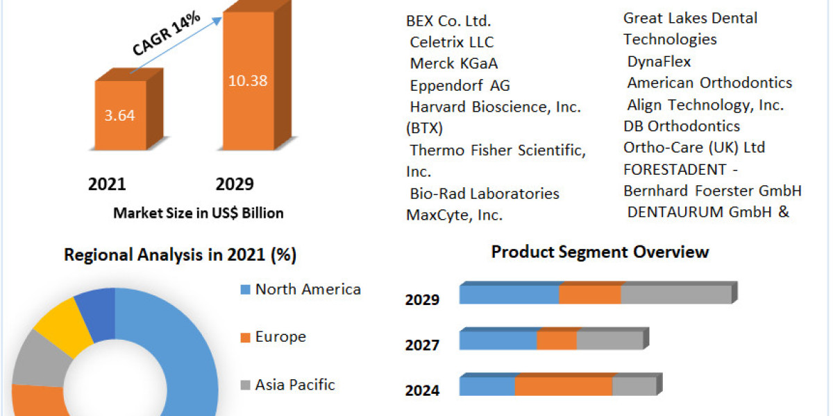 Shifting Paradigms in Orthodontics: Exploring the Global Invisible Orthodontics Market (2022-2029)