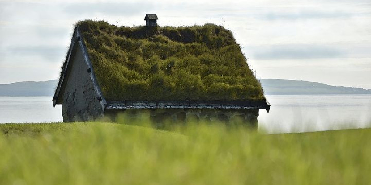 Turf Protection Market Research Development Status, Competition Analysis, Type and Application