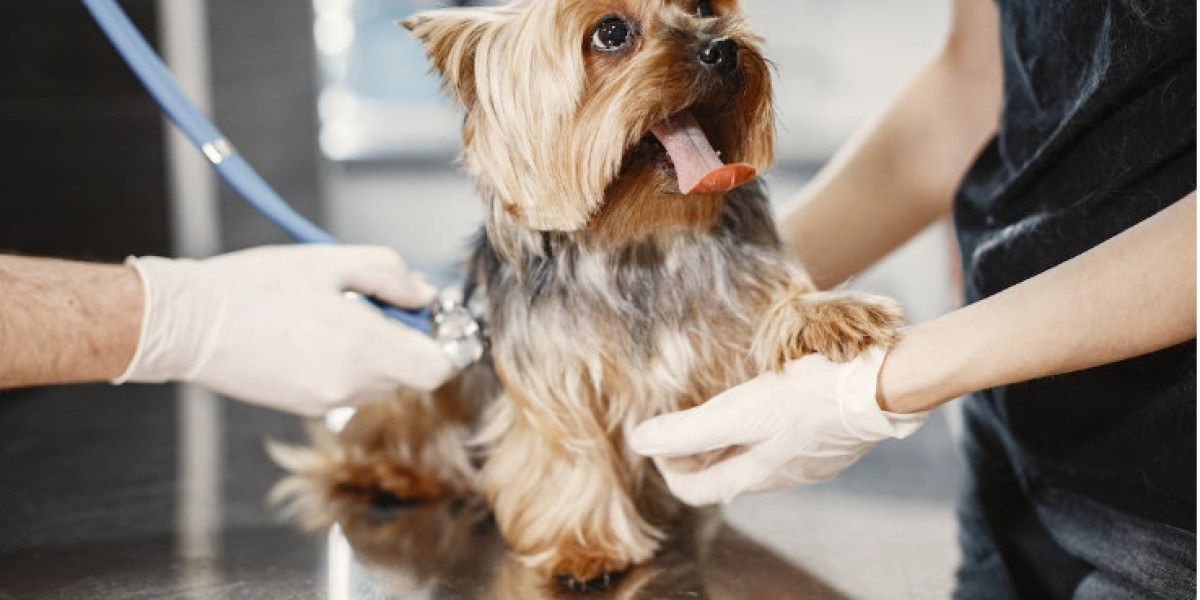 Pet Waste Removal Service