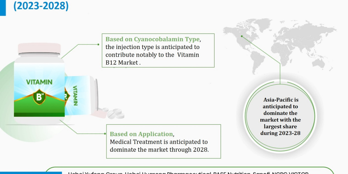Vitamin B12 Market Insights: Top Companies, Regional Analysis, and Growth Opportunities