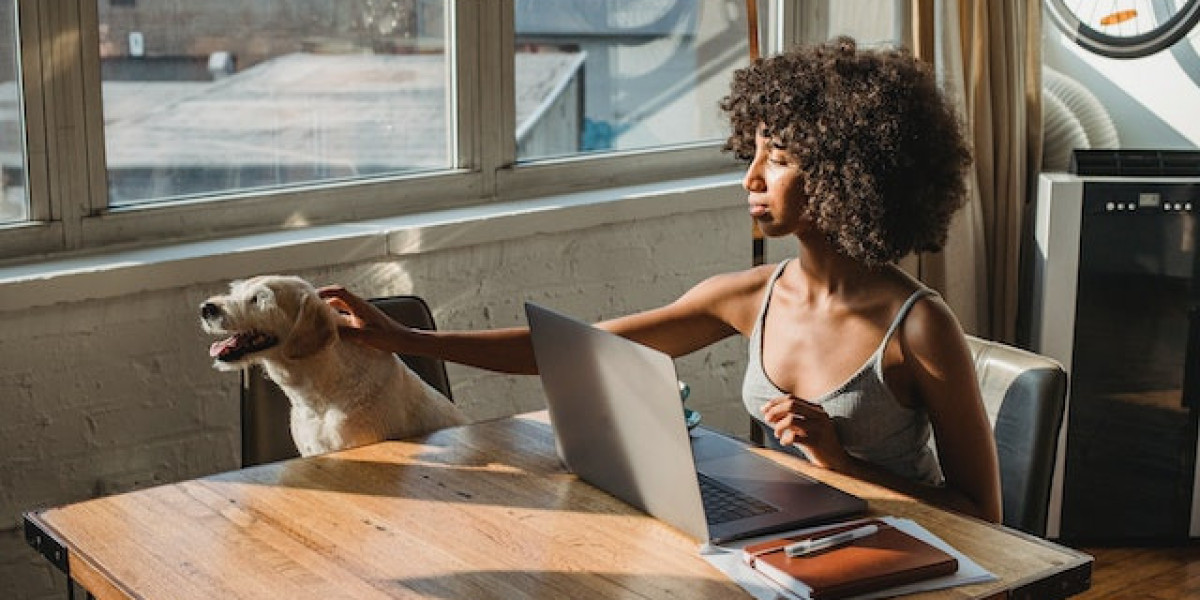 Creating a Dog-Friendly Home Environment