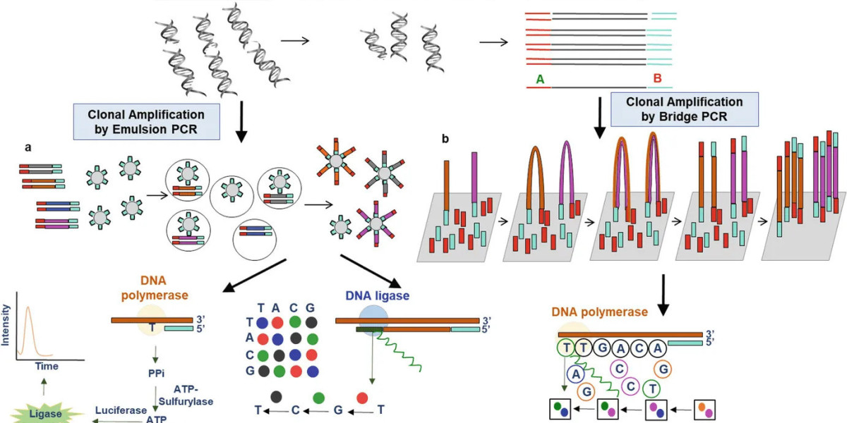 Next Generation Sequencing: Revolutionizing Genomic Medicine