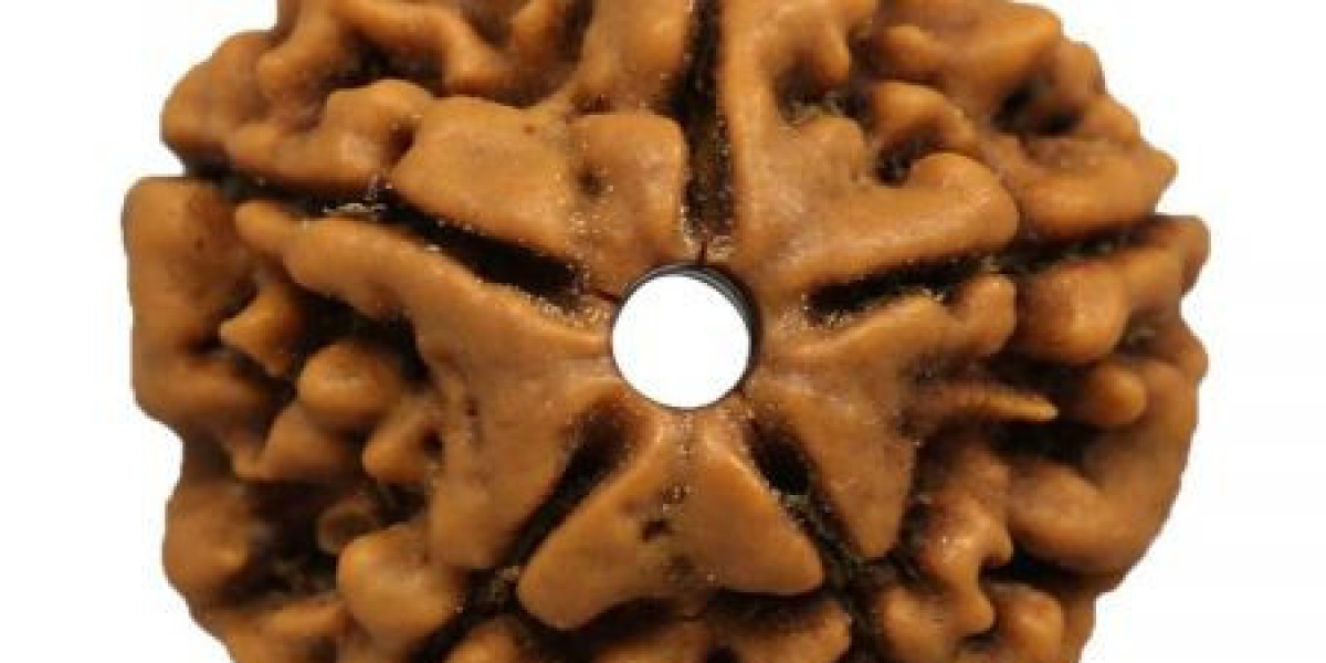 Shop 5 Mukhi Rudraksha Online at The Best Price