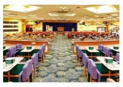 Why do People Love Bingo in London?