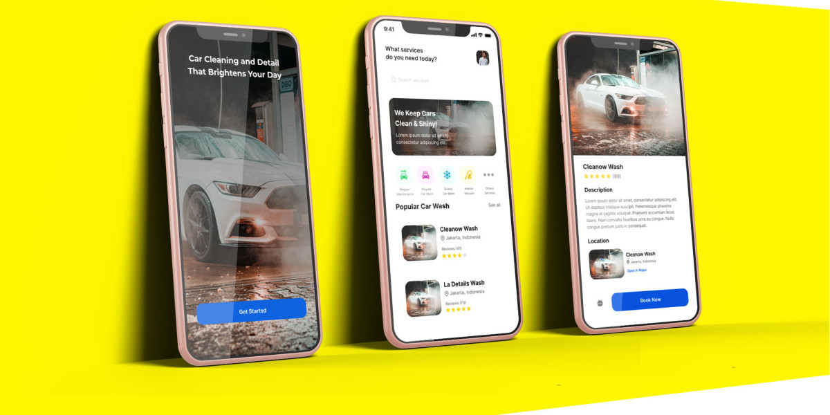 Techugo: Innovative Web-Based Application for Mobile Car Wash in the Netherlands